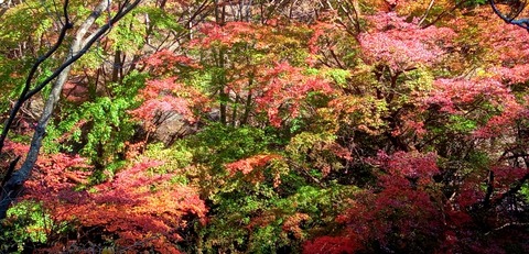 batch_IMG_20251207_130951