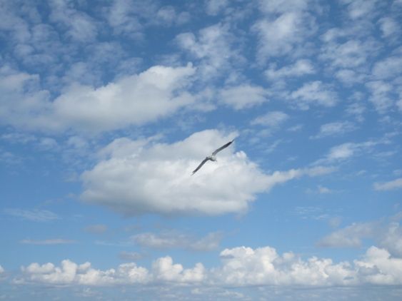 https://livedoor.blogimg.jp/js1ktr/imgs/a/3/a3012024.jpg