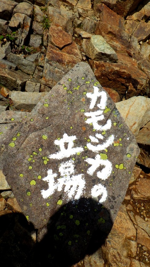 batch_RIMG0971