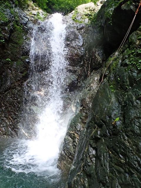 P8030047