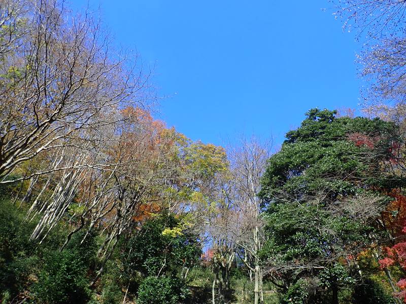 イメージ 2