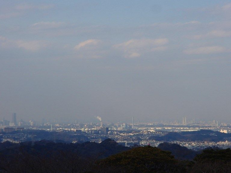 イメージ 19