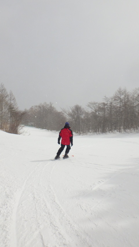 RIMG5298