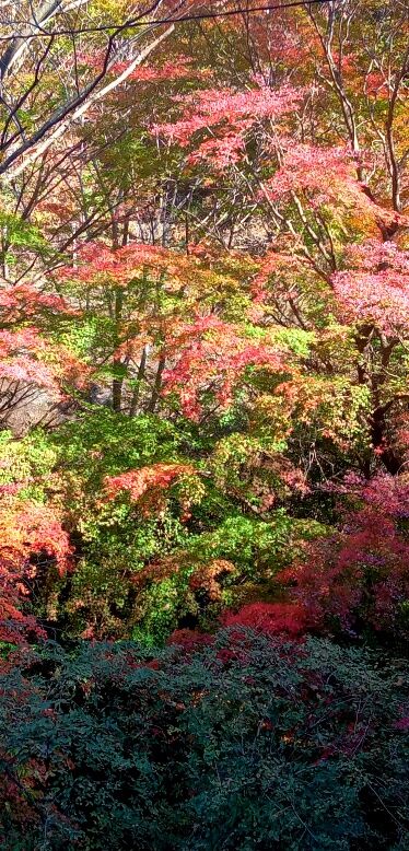 batch_IMG_20251207_130957