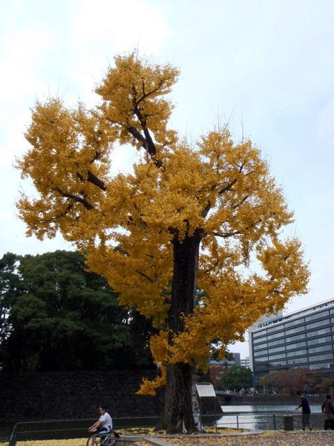 https://livedoor.blogimg.jp/js1ktr/imgs/a/9/a94e3ad2.jpg