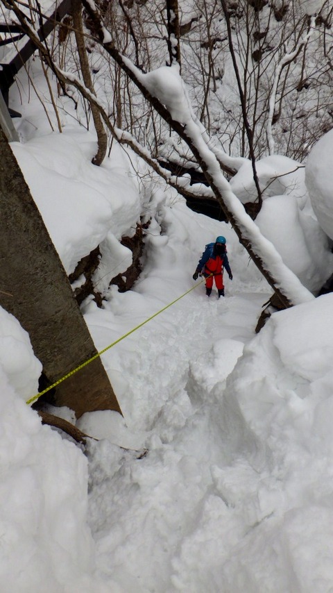 batch_RIMG4986 - コピー