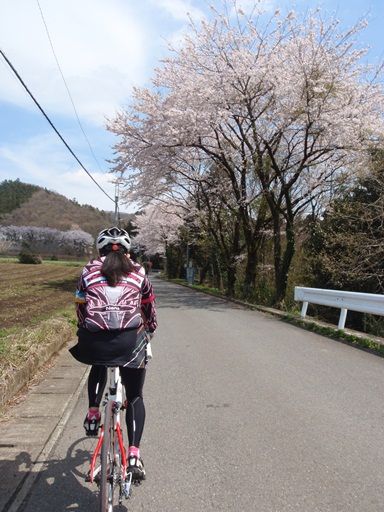 イメージ 5