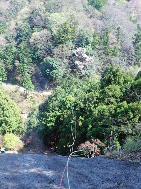 P4060067