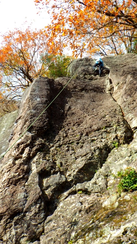 RIMG0288