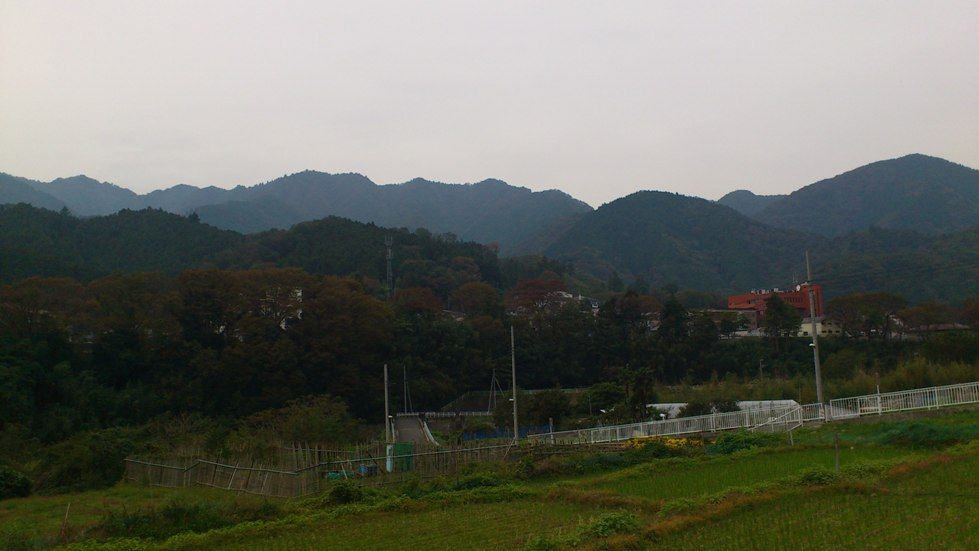 イメージ 8