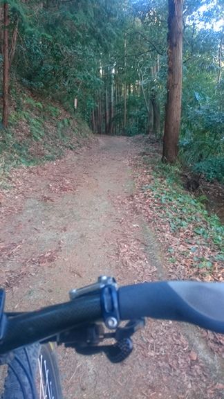 イメージ 18