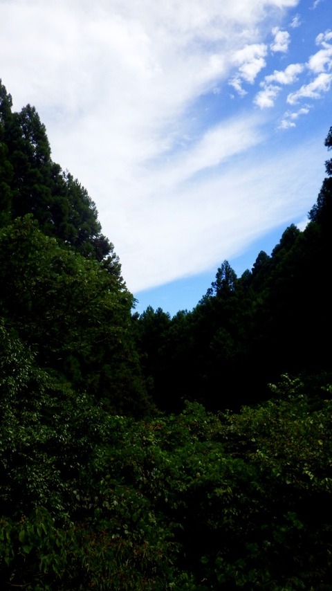 batch_RIMG0773