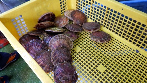 batch_RIMG5643