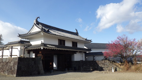 RIMG5338