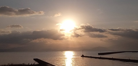 IMG_20231017_070058