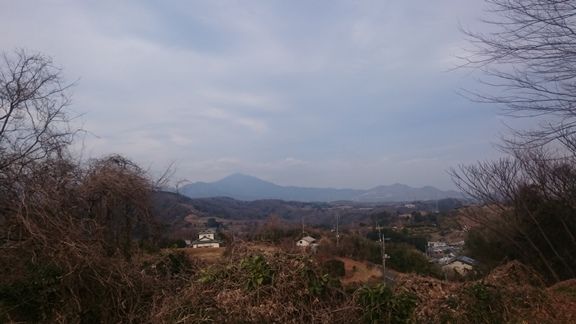イメージ 40