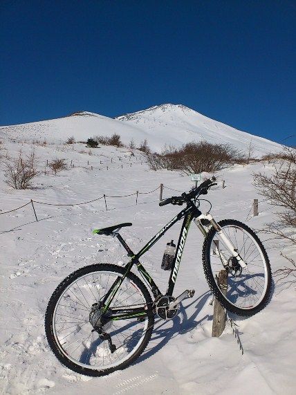 イメージ 15