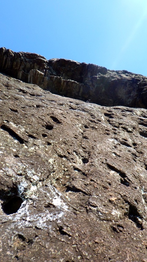 RIMG8383