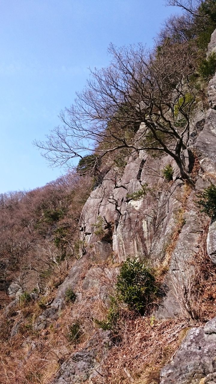 イメージ 10