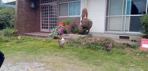 IMG_20251019_130841