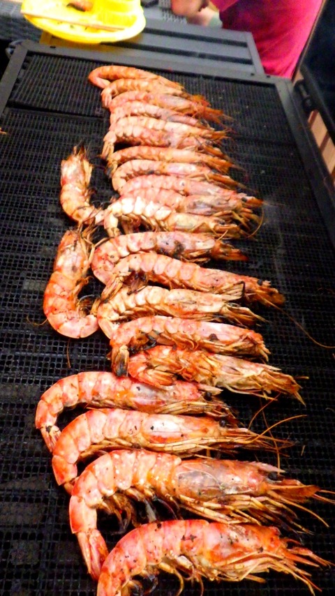 batch_RIMG5512
