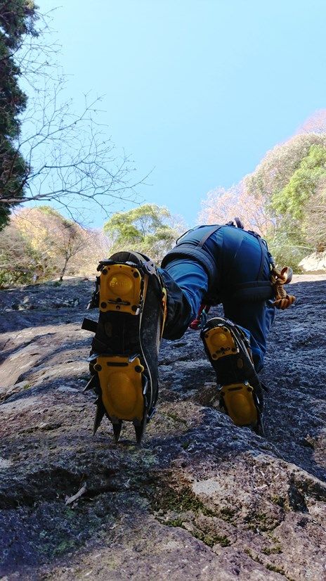 イメージ 5
