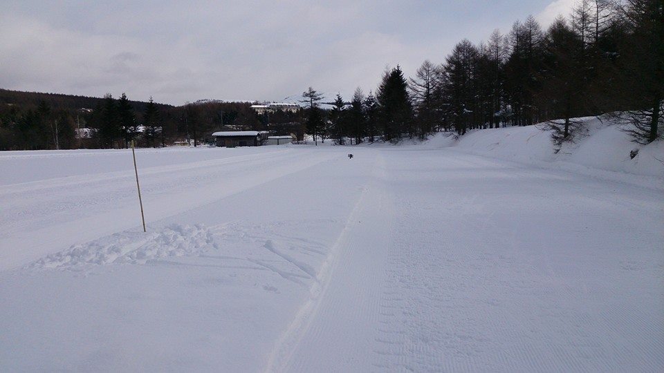 イメージ 4