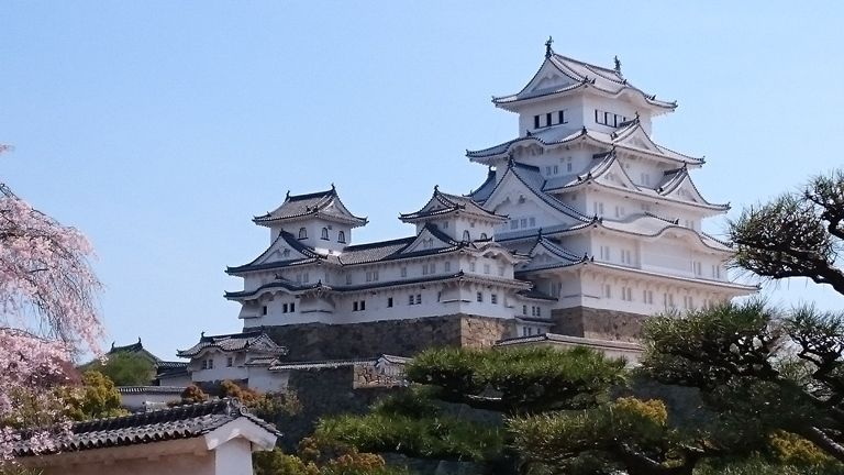 イメージ 13