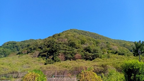 DSC_2618