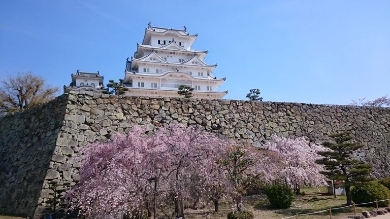 イメージ 9