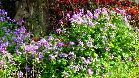 batch_RIMG6179