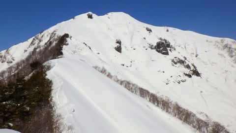 RIMG1646