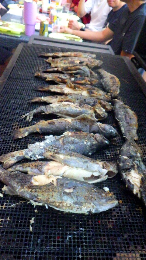 batch_RIMG9668