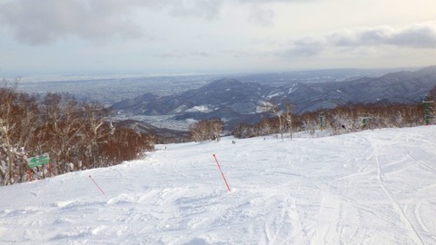 RIMG1542