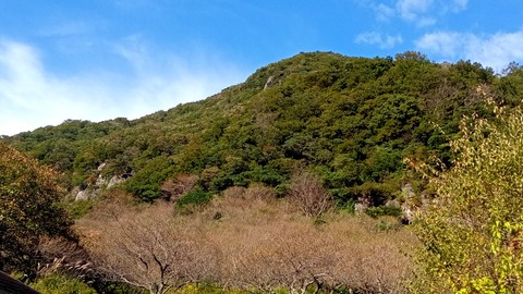 DSC_2917