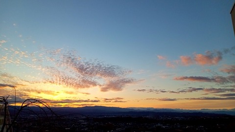 DSC_3087