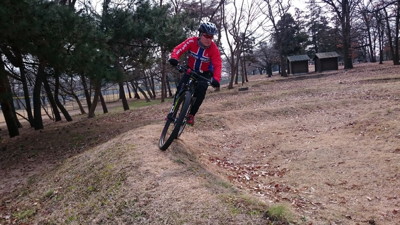イメージ 16