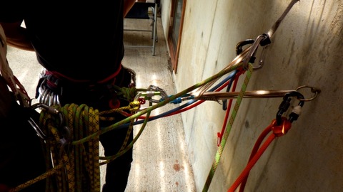 RIMG5439