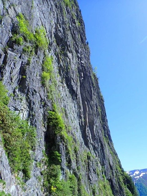 P5300038