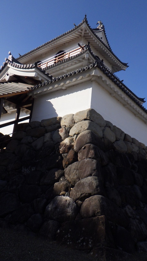 RIMG5362