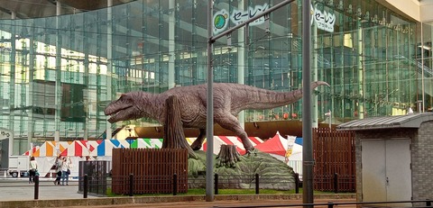 IMG_20240607_175049