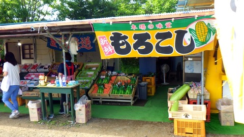 RIMG8846