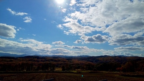 DSC_2931