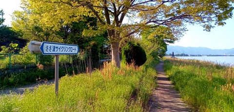 batch_IMG_20240504_160220