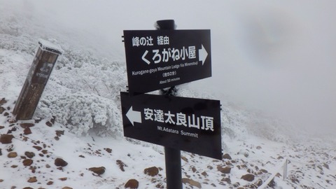 RIMG1141