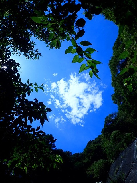 P8290019