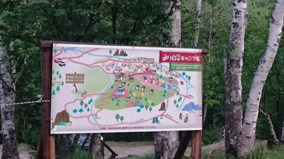イメージ 14