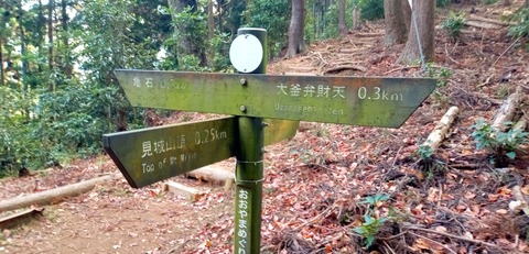 batch_IMG_20251209_124900