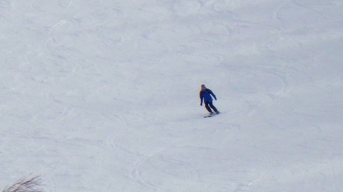 RIMG3337