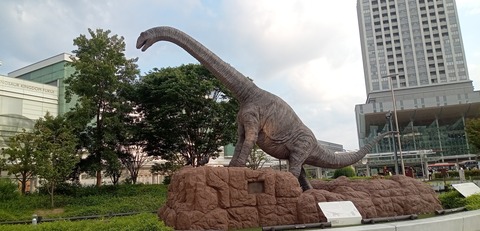 IMG_20240607_174857